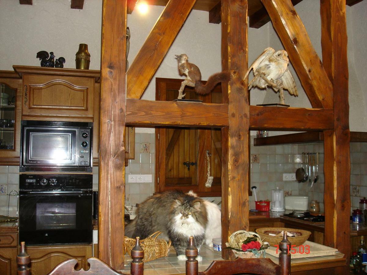 Gite Vallee Des Nestes Bareilles Dış mekan fotoğraf