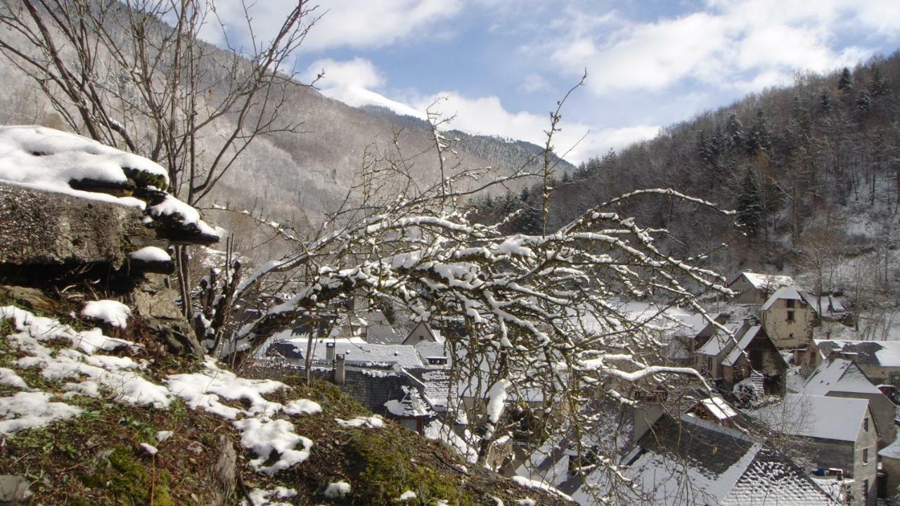 Gite Vallee Des Nestes Bareilles Dış mekan fotoğraf